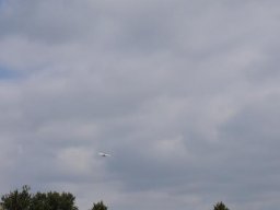 LSK